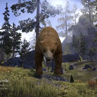 Cave Bear cavebear