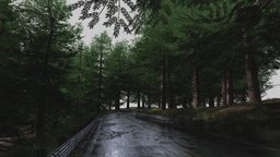 Pine Tree Showcase landscape, forest, pine, photorealistic, road, blender-3d, rainforest, pine-tree, nature_asset
