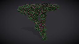 Fuschia Flowers plant, greek, red, plants, villa, vines, flowers, vine, fuschia, house, wall