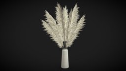 Pampas Grass II plant, tall, grass, plants, pot, white, pots, vase, indoor, decorative, ceramic, nature, cortaderia, decoration, interior, pampass