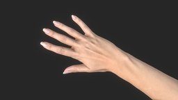 灰堆之手 3dscanning, hand