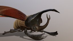 Rhino Beetle mushroom, bug, beetle, rhino, escultura, personaje, scarab, nature, animales, fantasia, rhino3d, naturaleza, rinoceronte, escarabajo, substancepainter, substance, maya, character, cartoon, animal, fantasy, sculpture, rhinobeetle, insectos, scarab-beetle, incect, bichos, escarabajorinoceronte