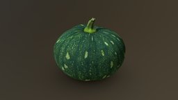 Squash 03 green, food, fruit, winter, fresh, round, realistic, scanned, real, whole, vegetable, squash, gourd, stem, cucurbita, maxima, ripe, cucurbitaceae, texture, scan, dark, pumpkin, japanese, kabocha