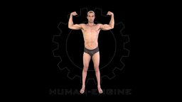 Male Scan body, anatomy, muscle, bodyscan, engine, anatomical, realitycapture, character, photogrammetry, asset, model, man, human, male, person, noai, human-engine