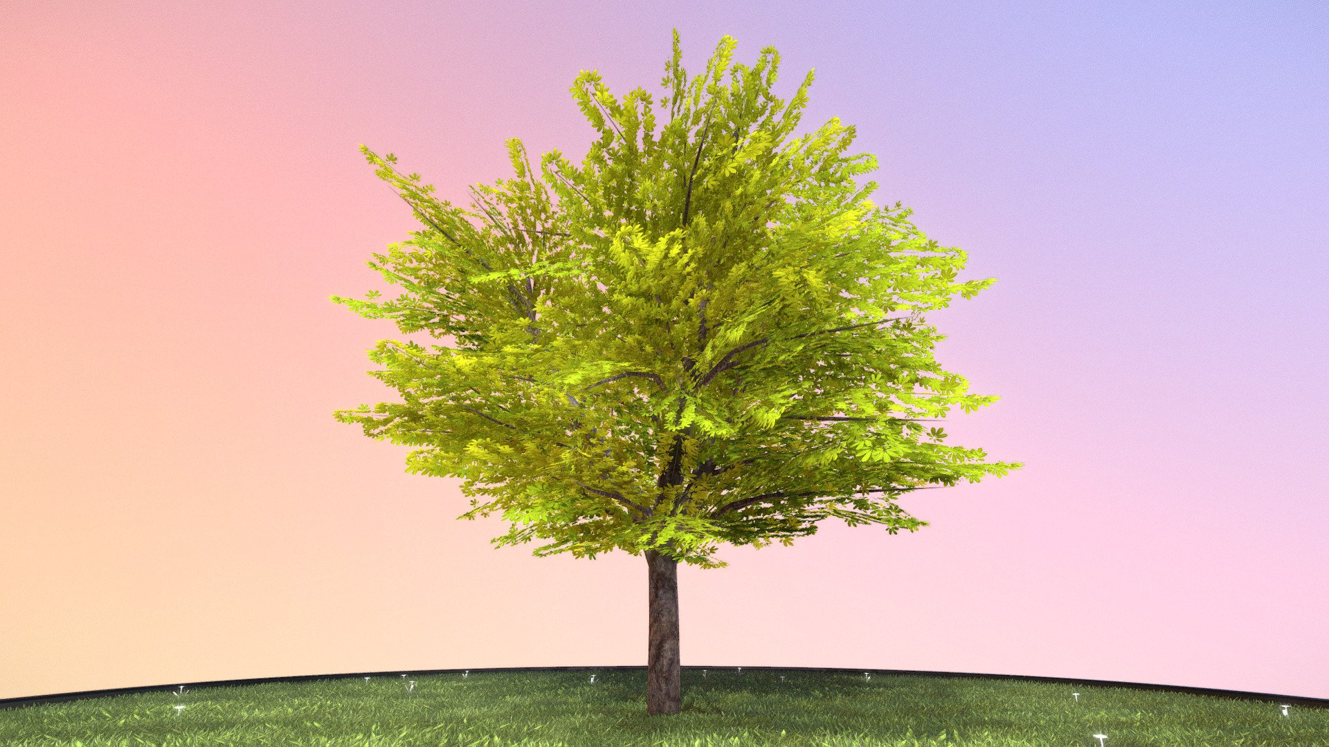 Kastanie 12 Meter - Sommer.






Object Name - European_Horse_Chestnut_Summer_12m 

Object Dimensions -  12.541m x 11.894m x 12.030m






Vertices = 8825

Edges = 13008

Polygons = 5650






Materials

Material - Kastanie_2:




Blend Mode: CLIP

Shadow Mode: OPAQUE

Kastanie_Col_4K.png(4096x4096px)

01_Kastanie_Nor_4k.jpg(4096x4096px)

Modelliert und texturiert von 3DHaupt mit Blender-3D






Letzte Aktualisierung:
12:32:23  04.05.23
 - Kastanie 12 Meter - Sommer - Buy Royalty Free 3D model by VIS-All-3D (@VIS-All) 3d model