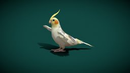 Cockatiel Parrot (Lowpoly) cute, birds, pet, animals, parrot, breed, animalia, lowpoly, , nymphicus, hollandicus, quarrion, cockatiel-bird, nyilonelycompany, cacatuidae, noai, cockatiel_parrot, weeroweiro