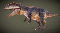 Giganotosaurus (for animation) world, modeler, bird, lizard, argentina, big, predator, park, giant, realistic, paleontology, dinosaurs, artist, jurassic, theropod, mesozoic, paleoart, southamerica, giganotosaurus, dominion, carcharodontosaurus, sudamerica, substancepainter, maya, 3d, art, model, zbrush, animation, prehistoric, dinosaur, carolini