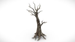 Fantasy Dark Forest Tree G trees, tree, plant, landscape, abandoned, forest, grass, plants, mud, post-apocalyptic, dead, leaf, outdoor, foliage, bark, realistic, nature, decay, psychedelic, meadow, fog, botanical, dark, horror