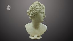 Venus de Medici venus, medici, rabasf, agisoft, photoscan, photogrammetry, photoshop, bust, sculpture