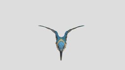 Updated Bird Alex bird