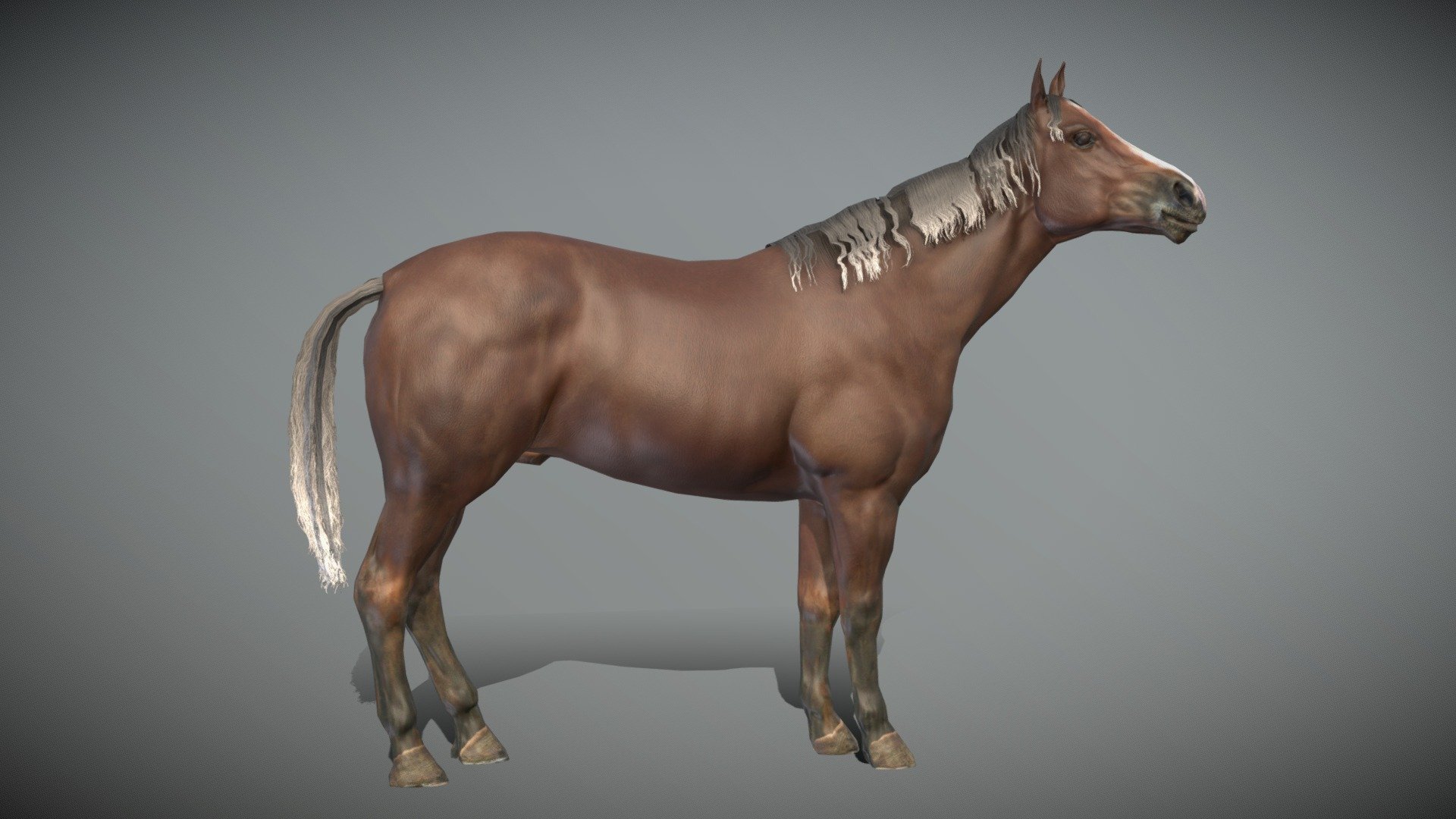 Horse idle animated low poly model
in fbx file format - Horse Idle Animated - Buy Royalty Free 3D model by aaokiji 3d model