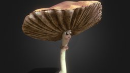 MUSHROOM green, plant, mushroom, nice, mushrooms, nature, plantas, hongo, hongos, naturaleza, zbrush-sculpt, owncharacter, chracterdesign, substancepainter, substance, character, 3d, substance-painter, zbrush, fantasy, magic, mushroomchallenge