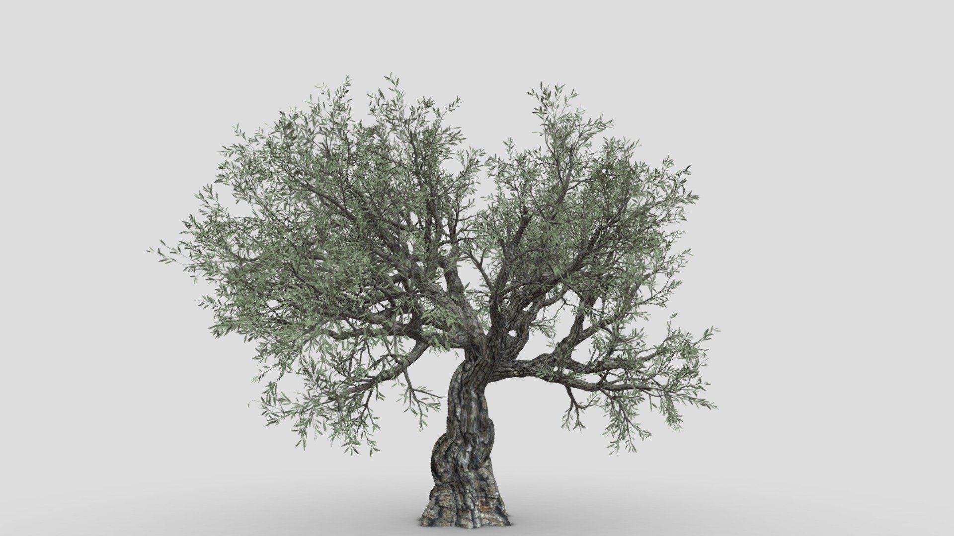 This is a part of model taht has realitstic and high quality texture. we try to publish different style in one mode dues to limitaion we have to publish in different part. we hope you use it 3d model