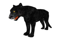 Puma Illustration forest, tiger, africa, animals, wild, mammal, african, zoo, safari, puma, lion, jaguar, nature, panther, leopard, wildlife, illustration, lioness, bigcat, animal