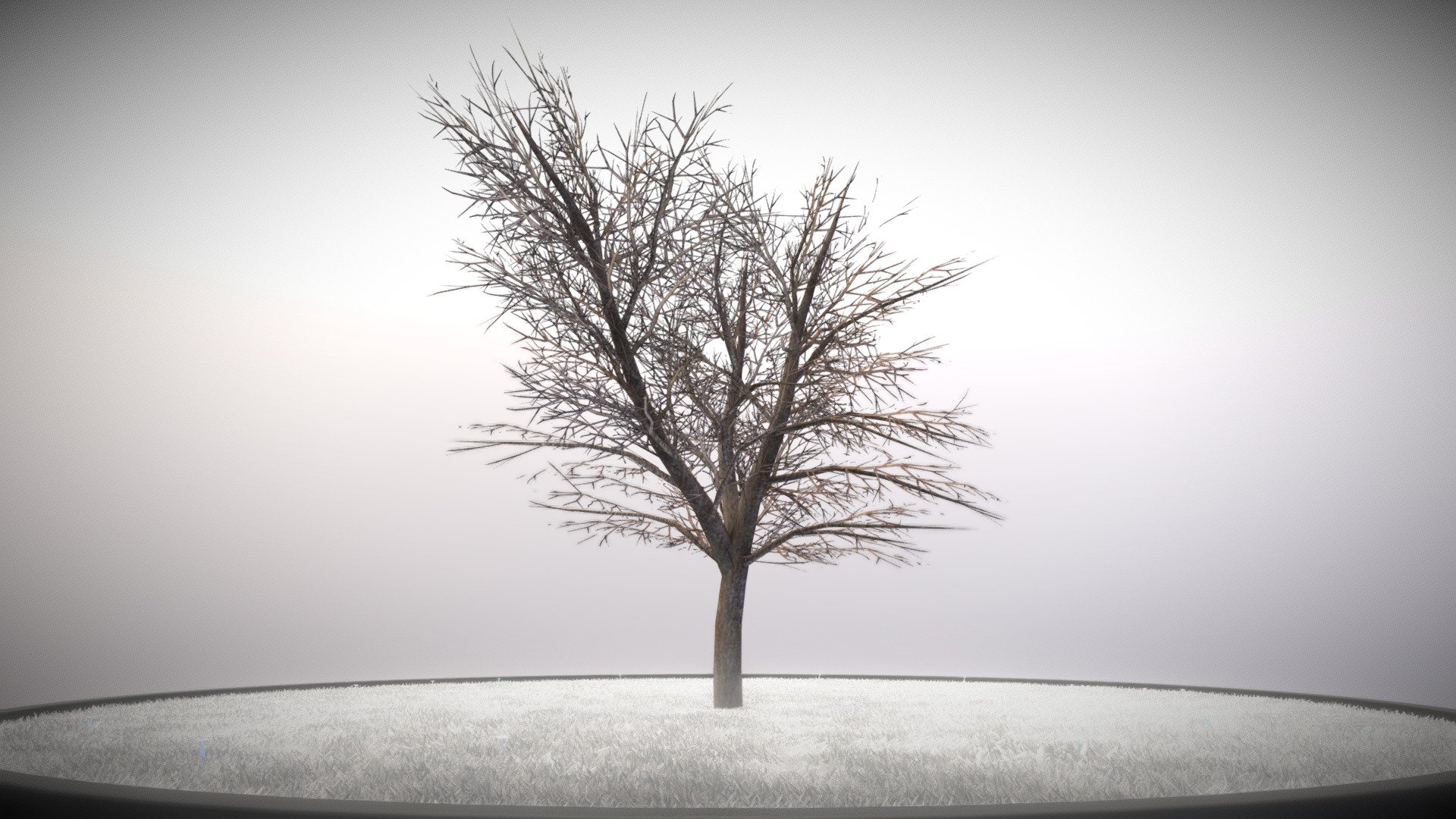 Kastanie 12 Meter im Winter.






Object Name - European_Horse_Chestnut_Winter_12m 

Object Dimensions -  11.873m x 11.386m x 12.471m






Vertices = 10074

Edges = 13523

Polygons = 5362






Materials

Material - Kastanie_2:




Blend Mode: CLIP

Shadow Mode: CLIP

01_Kastanie_Nor_4k.jpg(4096x4096px)

Kastanie_Col_4K.png(4096x4096px)



Ein 3d-Objekt aus dem VIS-All Baum Module 4 

Modelliert und texturiert von 3DHaupt mit Blender-3D




Letzte Aktualisierung:
17:43:47 04.05.23
 - Kastanie 12 Meter - Winter - Buy Royalty Free 3D model by VIS-All-3D (@VIS-All) 3d model