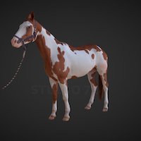 Horse pose, 727, mammal, digitized, horses, realistic, scanned, real, fullbody, fullbodyscan, poses, fullbody3dscan, studio727, photogrammetry, horse, scan, animal