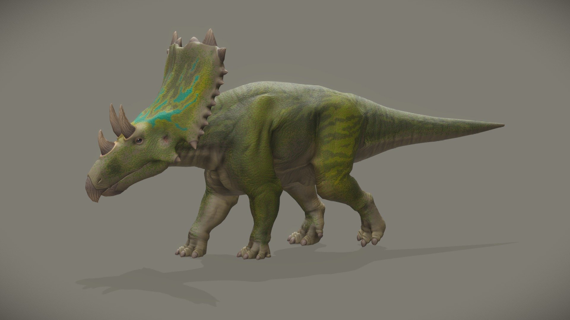 An animated Chasmosaurus Belli, an armored creature of the end the cretaceous period, I've made with Blender and Gimp.

– For more dinosaurs, don't hesitate to take a look at my Prehistoric Animals collection and subscribe to it to stay tuned of new creatures. –

-> Another Ceratopsids in this collection.

-> The Chasmosaurus in a diorama 3d model