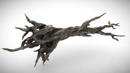 Fantasy Forest Tree trees, tree, plant, landscape, abandoned, forest, grass, plants, mud, post-apocalyptic, dead, leaf, outdoor, foliage, bark, realistic, nature, decay, psychedelic, meadow, fog, botanical, dark, horror
