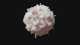 Lymphocyte body, blood, biology, white, cell, killer, vessel, monocyte, cells, cancer, science, immunity, neutrophil, t-cells, medical, lymphocyte, basophil, b-cells, killermonocyte