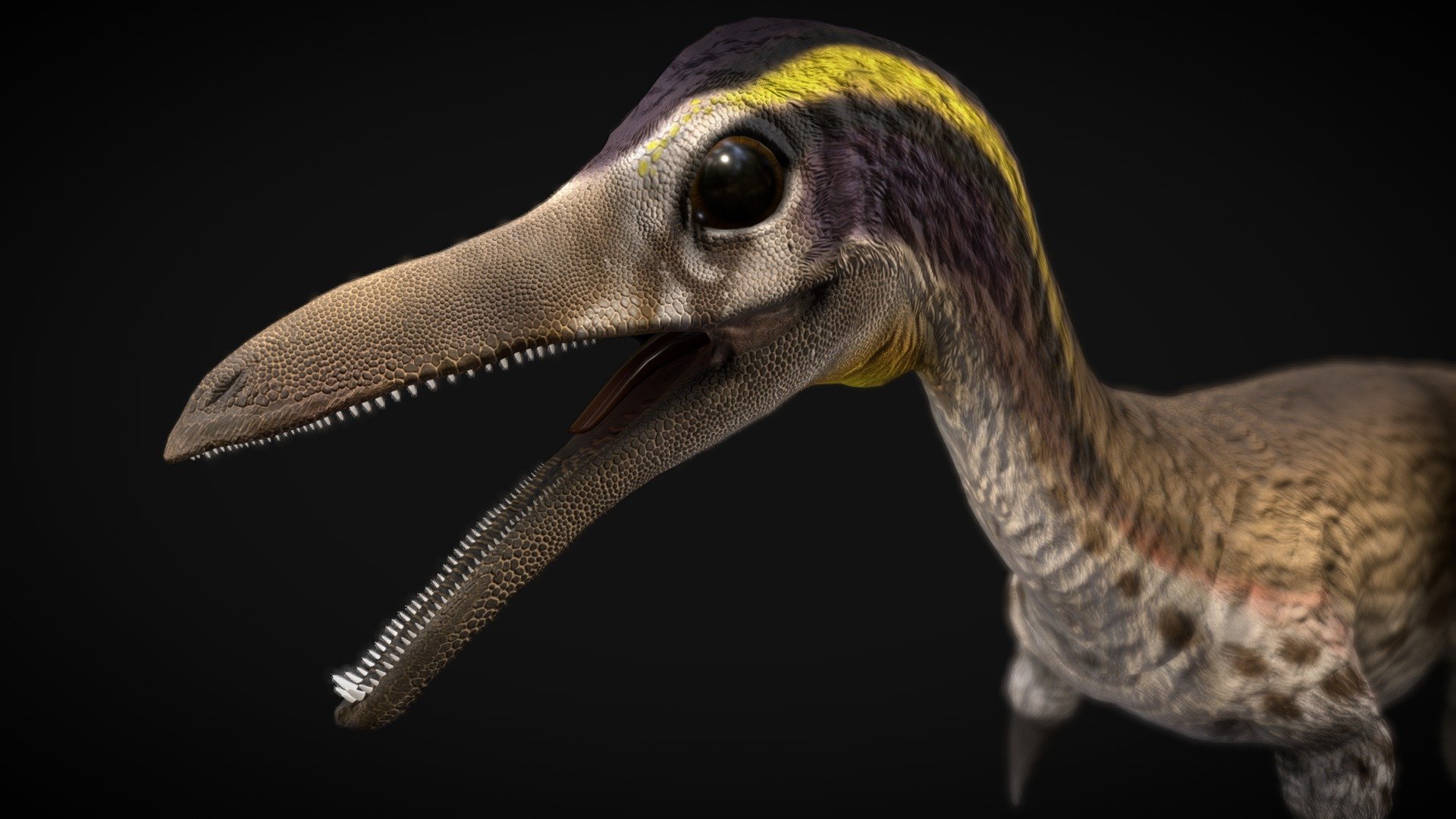 mononykus - mononykus - Buy Royalty Free 3D model by robertfabiani 3d model