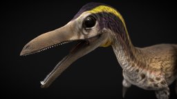 mononykus bird, exterior, critter, creature, prehistoric, dinosaur, mononykus