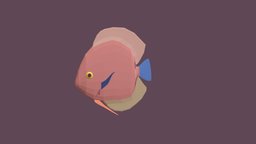 Discus fish, discus, fishing, river, underwater, animals, lake, ocean, aquarium, aquatic, sealife, oceanlife, fish-cartoon, low-poly, animal, animated, simple, sea