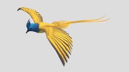 Pheasant Bird bird, pheasant, animal, animation, animated