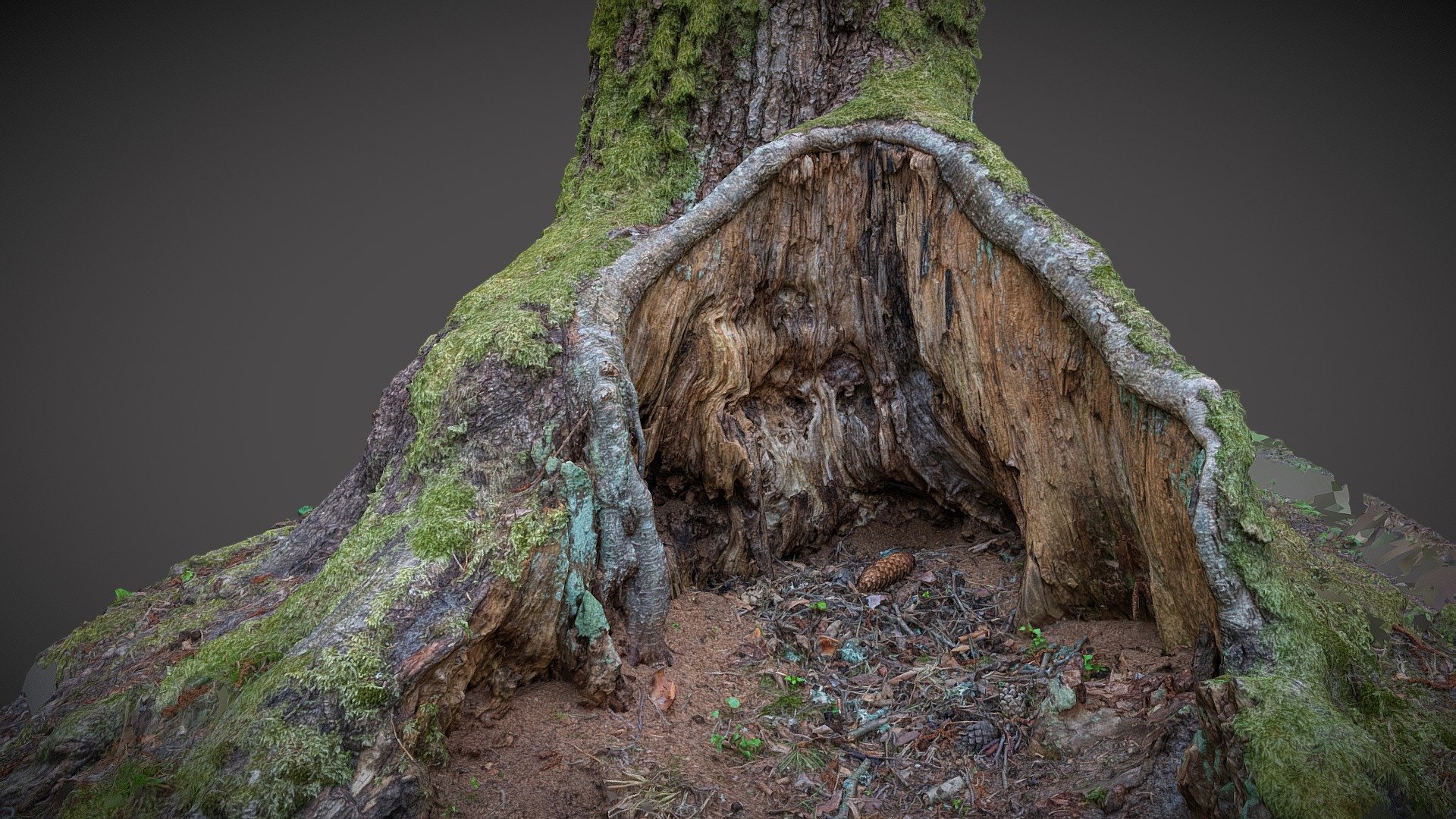 Created in RealityCapture from 78 images.

Photogrammetry capture: © Saulius Zaura www.dronepartner.lt 2022 3d model