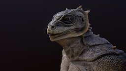 Anak The Lizardman lizard, lizardman, character, creature, fantasy