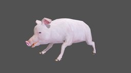 Pig cow, goat, forest, sheep, animals, buffalo, wild, farm, farmer, nature, wildlife, animal, animation, animated