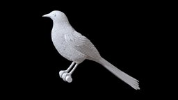Magpie bird, birds, parrot, crow, statue, bullfinch, sparrow, nightingale, tit, magpie, starling, art, sculpture