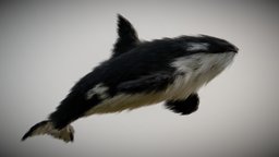 Furry orca marine, cute, underwater, mammal, feline, whimsical, ocean, moustache, fur, whale, artistic, orca, wildlife, seacreature, playful, killerwhale, unique-design, 3d, blender, art, animal, characterdesign