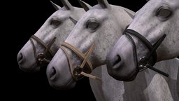 Horse Bridle Sample bridle