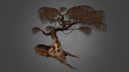 Dead Tree 