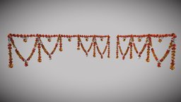 Door & Window Flowers flower, windows, india, vegetation, tagete, door