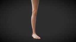 Fit Female Anatomy body, base, armor, anatomy, topology, muscles, leg, tattoo, pack, foot, torso, party, arnold, fit, ss, muscular, procedural, vein, procreate, female, hand, procreate5x, procreate52, procreateready