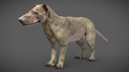 Hyaenodon gigas games, dog, animals, extinct, hyena, game-ready, ice-cream, prehistory, armadillo, iceage, game-asset, wwb, hyaenodon, wolfmodel, rigged-character, hyaena, cenozoic, character, asset, game, gameasset, animal, prehistoric, wolf, gameready, riggedcharacter, walkingwithbeasts, extinct-animal, hyaenodon-gigas