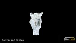 Larynx anatomy, medicine, larynx, university-of-michigan