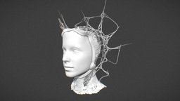 Biopunk Crown face, organic, figure, punk, fashion, cyberpunk, crown, queen, statue, head, character, helmet, skull, creature, fantasy, biopunk