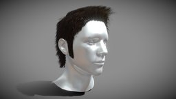 Male modern Haircut hair, barbershop, style, fashion, barber, rocker, survivor, raider, rockstar, head, shorthair, hairy, haircut, hairstyle, hairs, man, gameasset, malehair