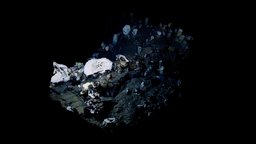 Low Poly Deep Sea Ground Surface #2 film, plants, organic, white, underwater, geology, surface, ground, coral, photogrametry, deep, thermal, water, nature, salt, hydrothermal, underwaterarchaeology, organicmodeling, householdpropschallenge, realitycapture, photogrammetry, 3d, 3dsmax, blender, lowpoly, low, poly, scan, structure, rock