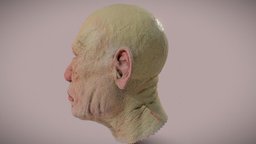 OldWarrior_SkinTest face, warrior, head, bleder, photoshop, blender3d, bust, zbrush, human