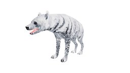 Hyena 1 Illustration elephant, forest, dog, tiger, africa, animals, wild, mammal, rhinoceros, african, zoo, zebra, safari, illustrator, lion, nature, wildlife, illustration, lioness, animal