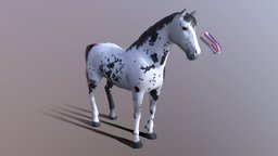Apaloosa Black 3dhorse, 3dapaloosahorse, blackapaloosa, whiteapaloosa, 3dblackapaloosamodel, wildblackapaloosa, wildwhiteapaloosa, noai