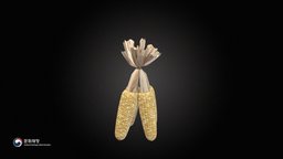 Corn food, assets, korea, farm, farmer, corn, korean, cultural-heritage, joseon, thatched-house, k-food