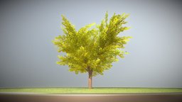 Kastanie 12 Meter tree, grass, baum, spring, game-ready, blender-3d, chestnut, kastanie, vis-all-3d, sommer, 12-meter, baum-module-4, leaf-tree, 3dhaupt, low-poly, lowpoly, blender3d, noai, rosskastanie, european-horse-chestnut