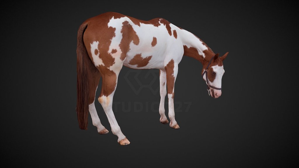 Real horse model generated by photogrammetry 3d model