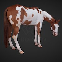 Horse pose, 727, mammal, digitized, horses, realistic, scanned, real, fullbody, fullbodyscan, poses, fullbody3dscan, studio727, photogrammetry, horse, scan, animal