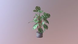 House plant tree, plant, cute, plants, flora, flower, garden, furniture, nature, houseplant, houseplants, nature-plants, photoscan, handpainted, low-poly, game, photoshop, blender, blender3d, gameart, gameasset, house, home, 3dmodel, anime, gameready
